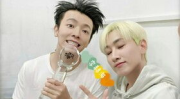 娱乐圈最新爆料合集视频,揭秘明星幕后真相与情感纠葛